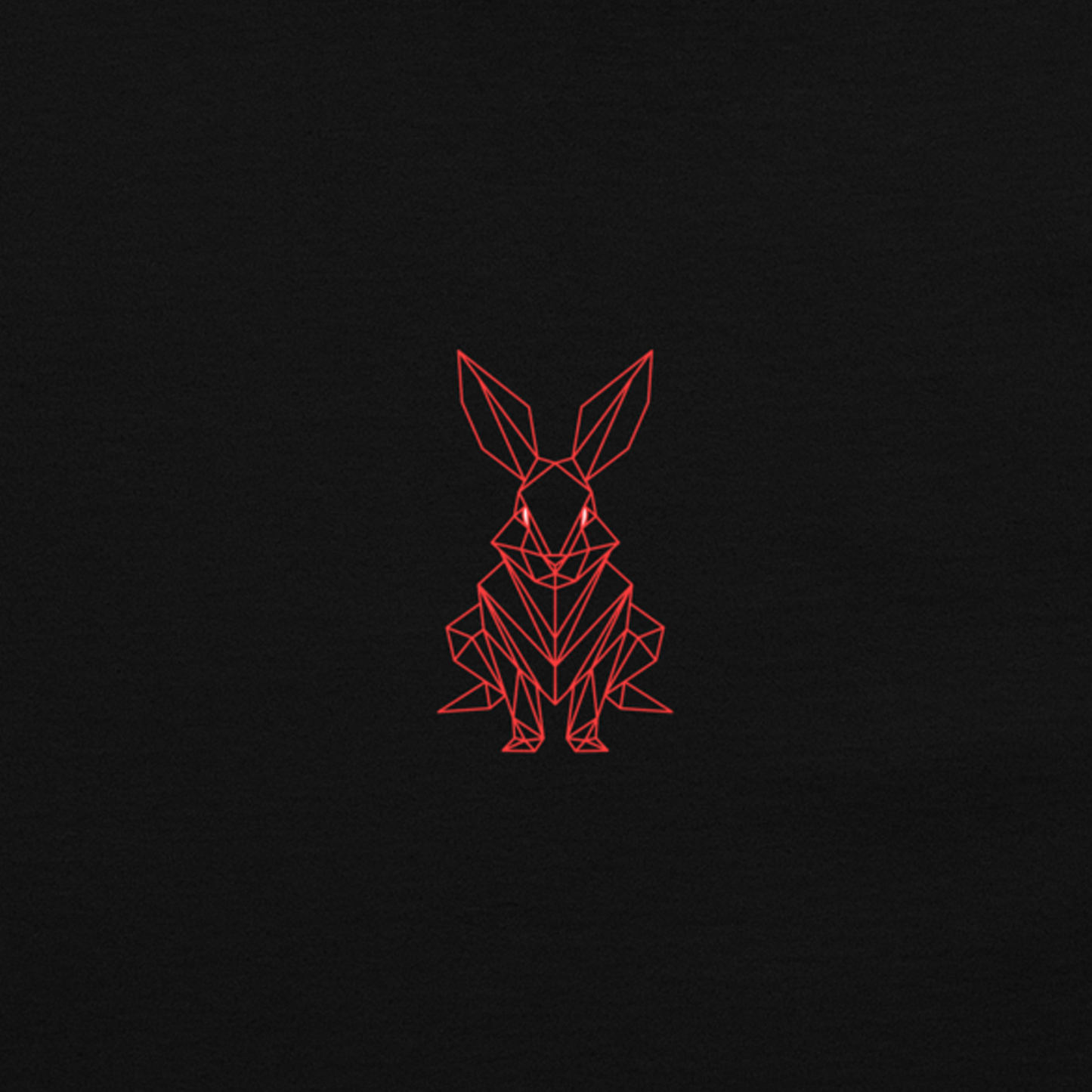 Red Rabbit Oversized Heavyweight T-Shirt