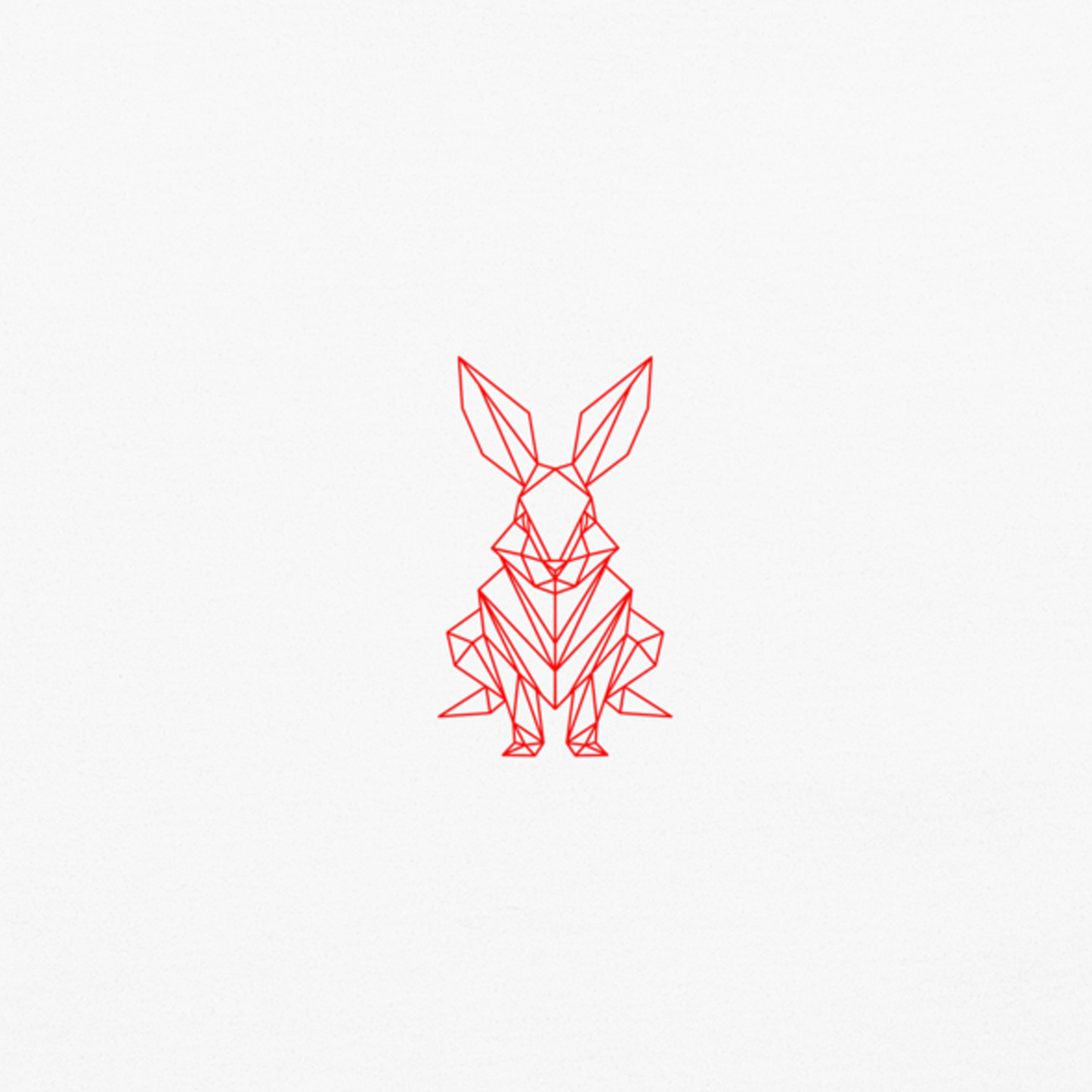 Red Rabbit Oversized Heavyweight T-Shirt